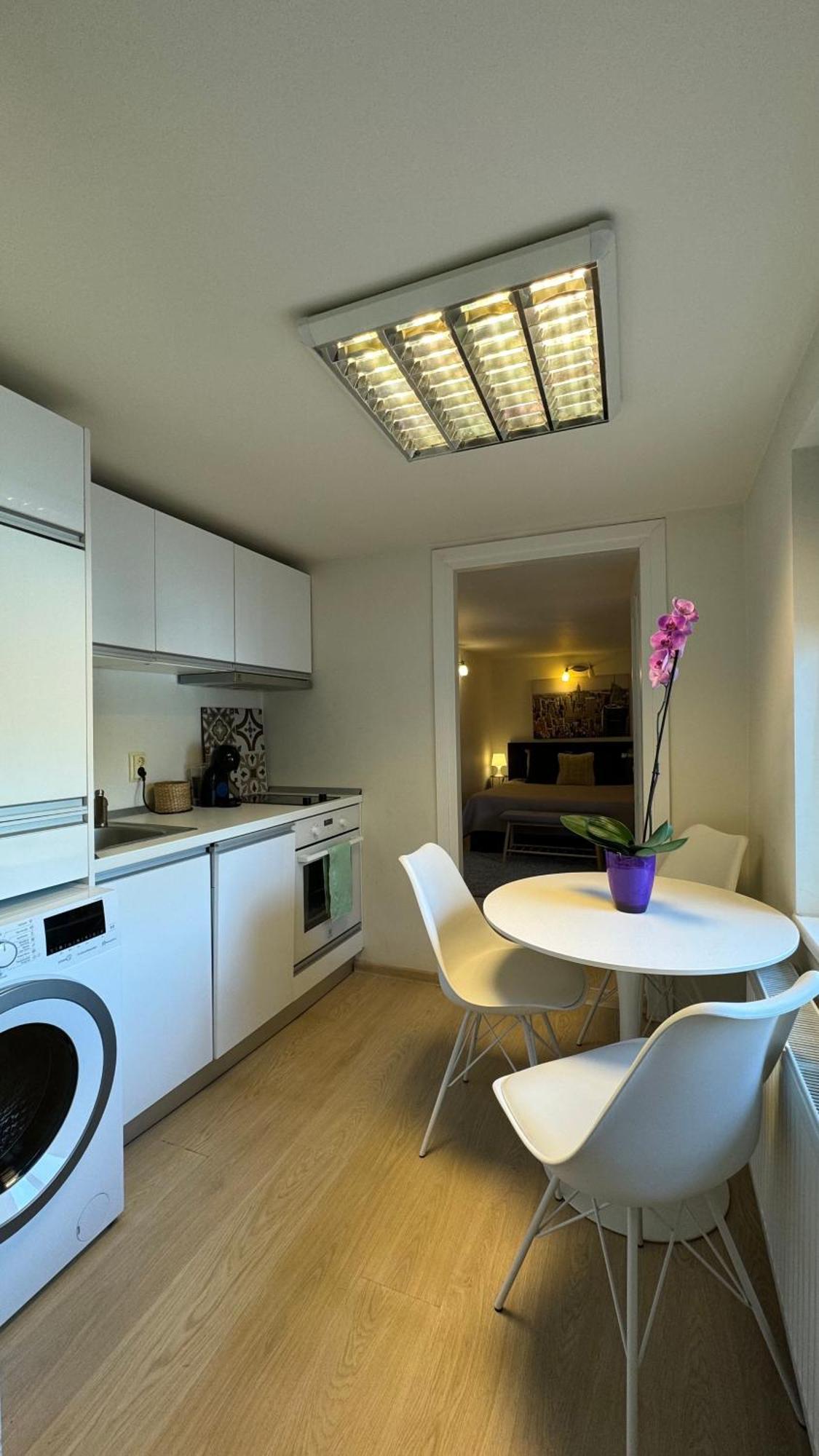 Elite Residence Temeşvar Dış mekan fotoğraf